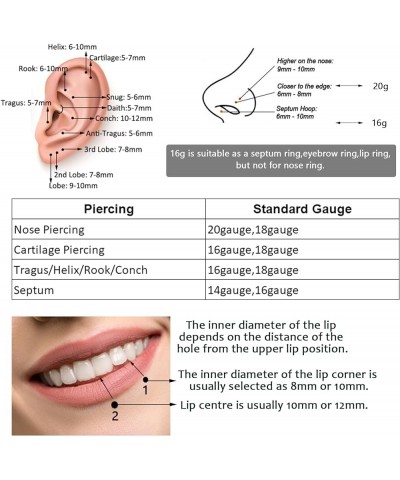 Hinged 20g 18g 16g Nose Rings Hoops 6mm 8mm 10mm 12mm 14mm 16mm Septum Ring Clicker Cartilage Helix Hoop Earrings Set Twist-1...