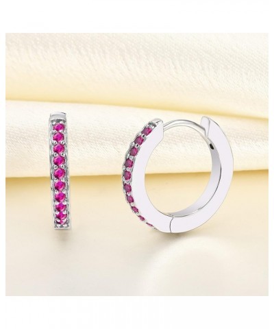 Hoop Earrings 925 Sterling Silver Halo Round Huggie Earrings Birthstones Jewelry for Women 07-ruby-Jul $27.95 Earrings