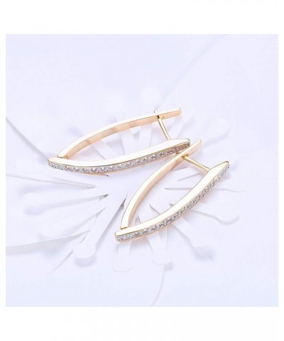 14K Gold Plated Cubic Zirconia Hoop Earrings For Women Men Fashion CZ Earrings $8.99 Earrings