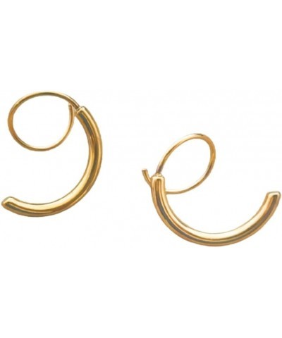 Spiral Double Hoop Earrings for Women Stainless Steel Spiral Earrings Double Piercing 18k Gold Plated Twist Wrapped Earrings ...