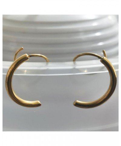 Spiral Double Hoop Earrings for Women Stainless Steel Spiral Earrings Double Piercing 18k Gold Plated Twist Wrapped Earrings ...