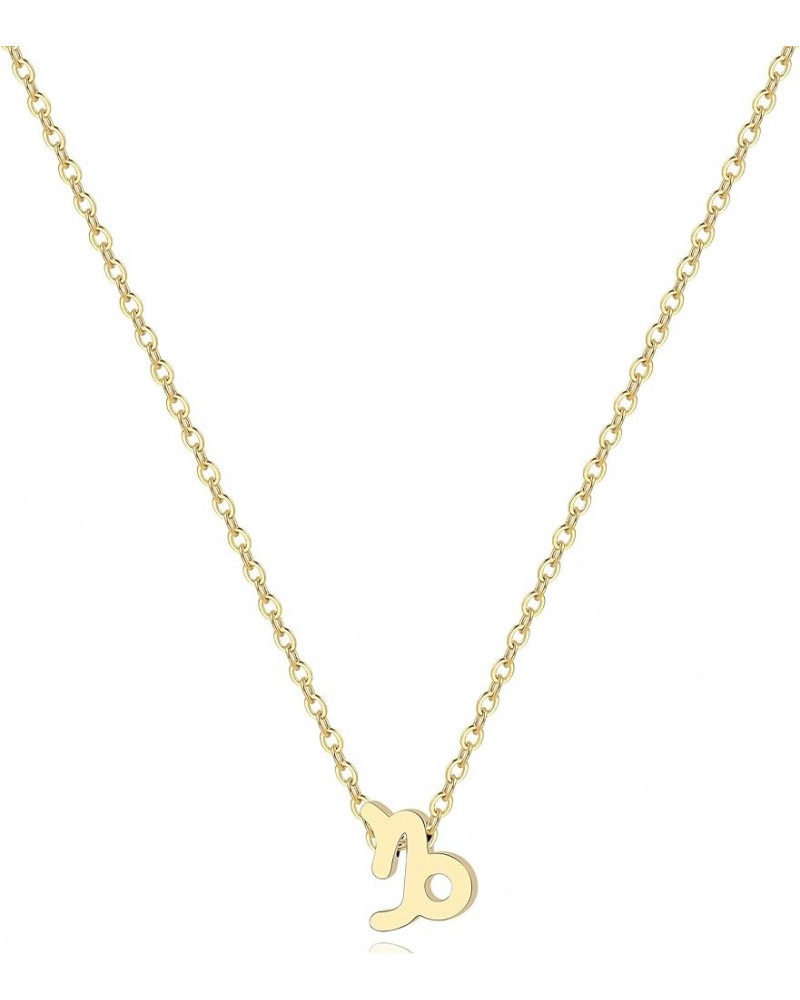 Astrology Necklace for Women 18K Gold Plated 12 Constellation Zodiac Necklace Capricorn-1 $10.25 Necklaces