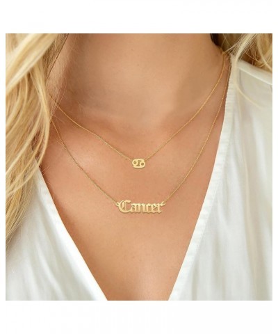 Astrology Necklace for Women 18K Gold Plated 12 Constellation Zodiac Necklace Capricorn-1 $10.25 Necklaces