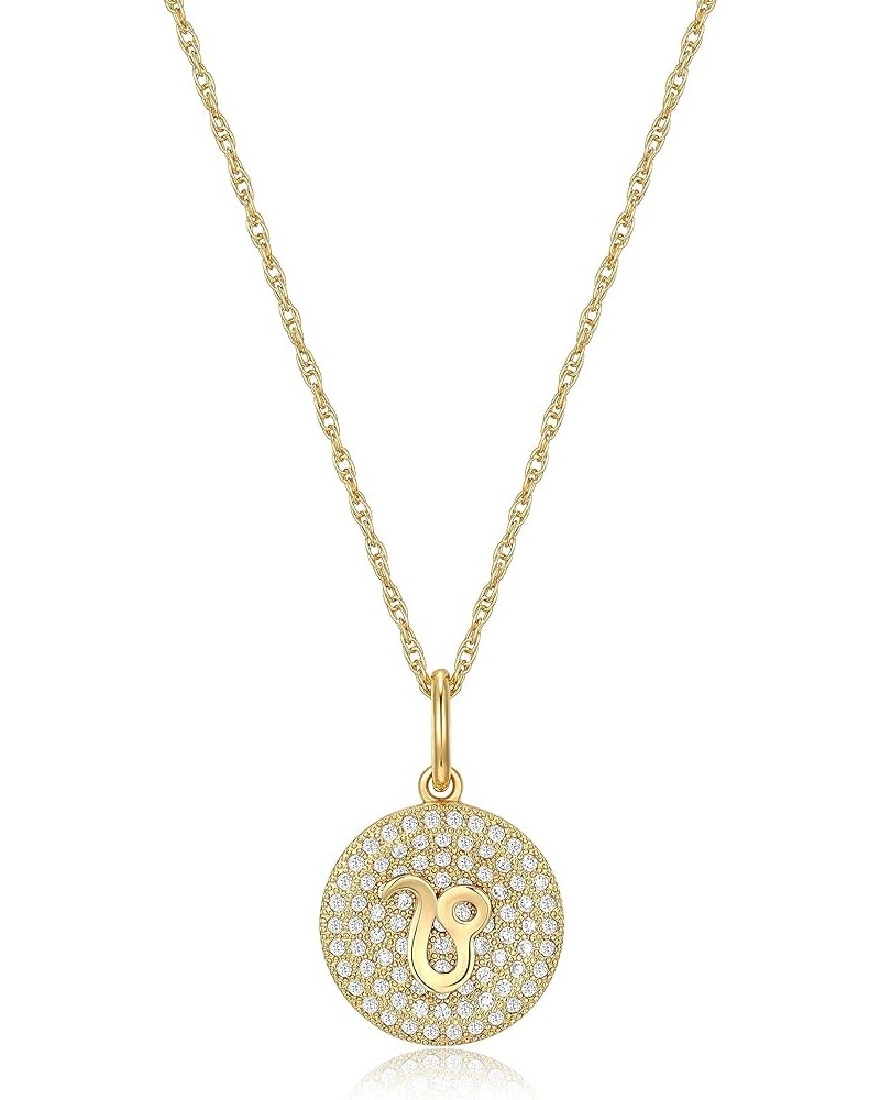 14K Gold Plated Sterling Silver and Cubic Zirconia Women Zodiac Necklace on 18 inches Rope Chain, Zodiac Sign Necklaces for W...