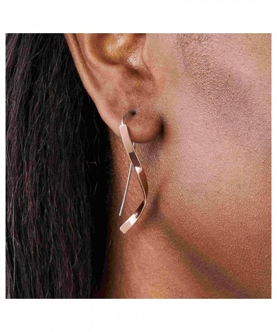 Women's Minimalist Silver, Rose Gold or Gold Tone Stainless Steel Drop Earrings Rose Gold Drop $28.32 Earrings