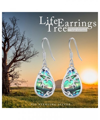 S925 Sterling Silver Mountain Dangle Drop Hook Earrings for Women Girls Abalone Shell Mountain Range Dangling Earrings Mounta...