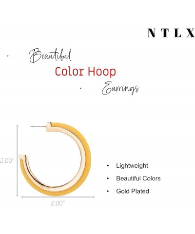 Bohemian Boho Acrylic & Metal Hoop Earrings for Women – Acetate Lucite Resin Hoop Earrings – Beautiful Colors – 2 Inch (50mm)...